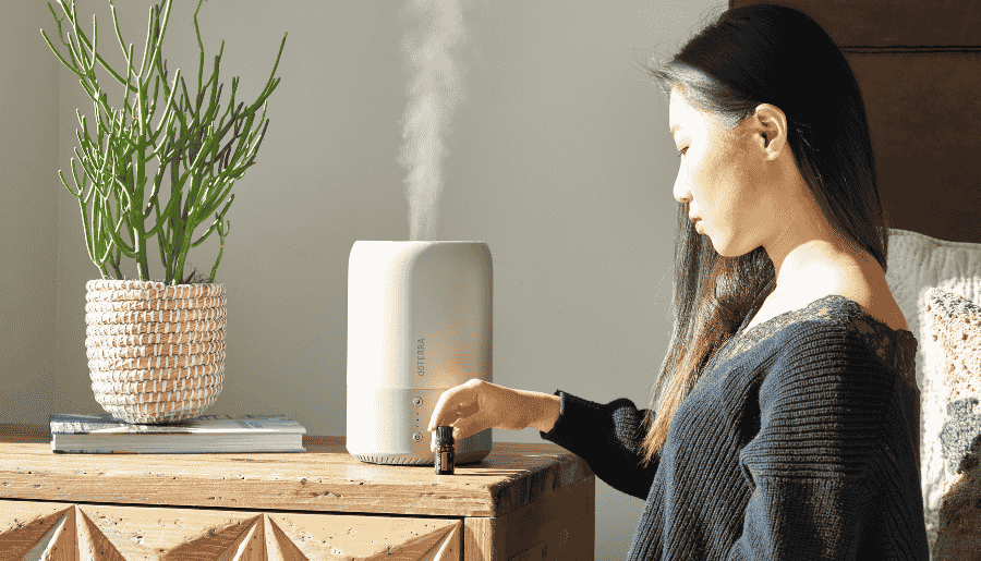 Best Humidifier In India 2025: Complete Buying Guide